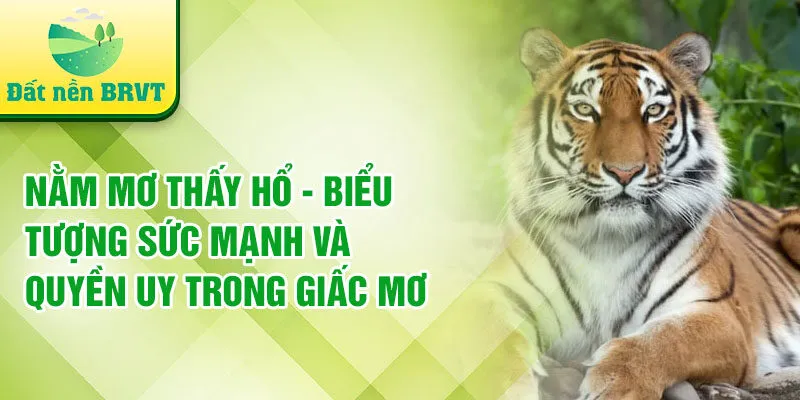 Nằm mơ thấy hổ - biểu tượng sức mạnh và quyền uy trong giấc mơ