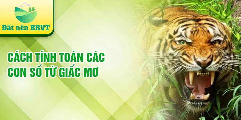 Cách tính toán các con số từ giấc mơ