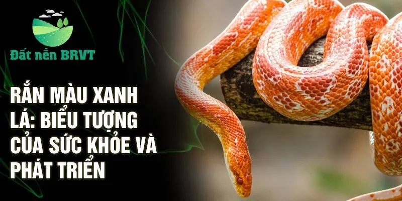 Rắn màu xanh lá: biểu tượng của sức khỏe và phát triển