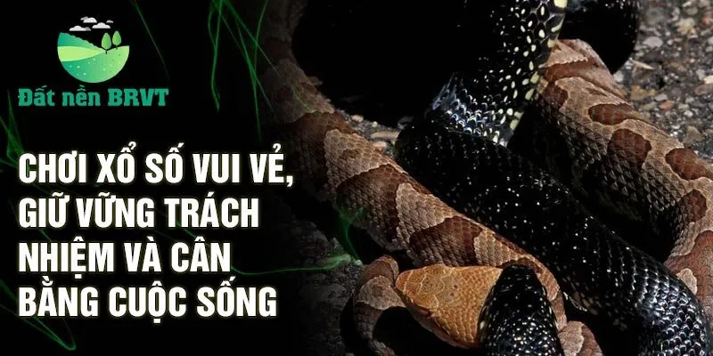 .Chơi xổ số vui vẻ, giữ vững trách nhiệm và cân bằng cuộc sống