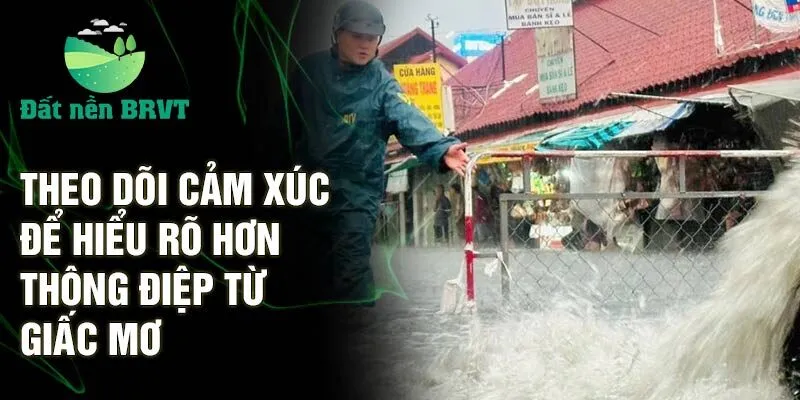 Theo dõi cảm xúc để hiểu rõ hơn thông điệp từ giấc mơ