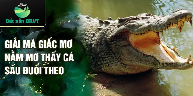 Giải mã giấc mơ nằm mơ thấy cá sấu đuổi theo