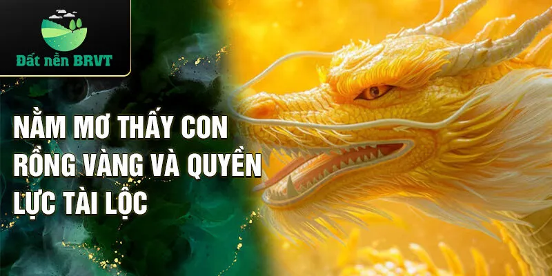 Nằm mơ thấy con rồng vàng và quyền lực tài lộc