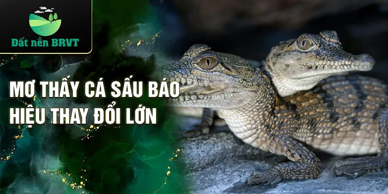 Mơ thấy cá sấu báo hiệu thay đổi lớn