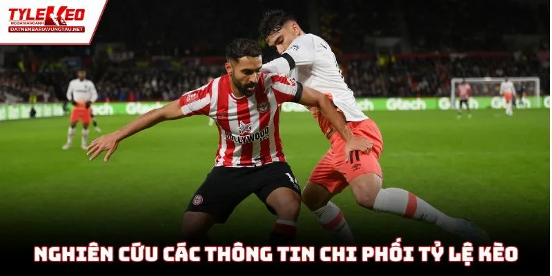 Nghiên cứu các thông tin chi phối tỷ lệ kèo